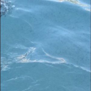 Meet your Posher, Zobeyda